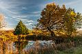 2015_10_30 (0076)